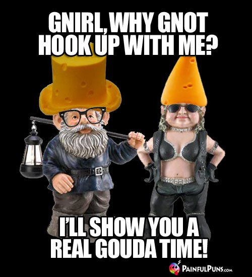 Cheesy Pick-Up Line: Gnirl, why gnot hook up with me? I'll show  you a real gouda time!