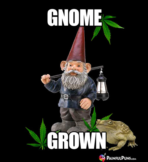 Gnome & Toad with Pot Leaves: Gnome Grown
