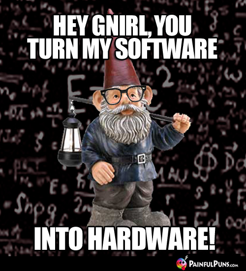 Hey Gnirl, you turn my software into hardware!