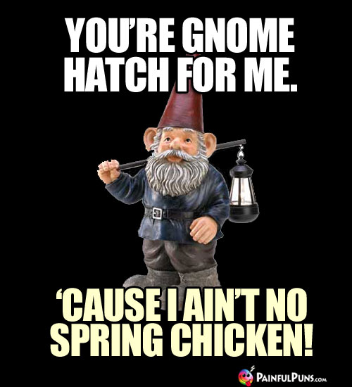 You're gnome hatch for me. 'Cause I ain't no spring chicken!