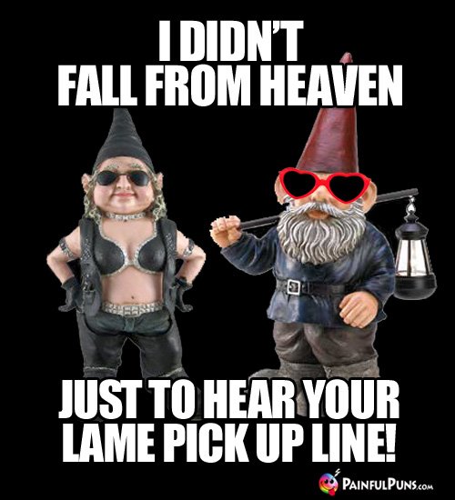 I didn't fall from heaven just to hear your lame pick up line!