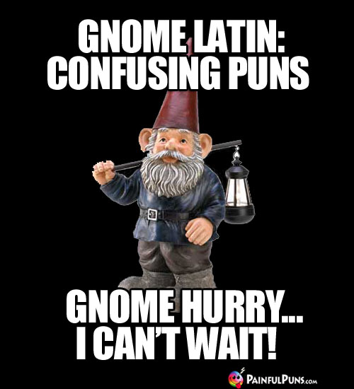 Gnome Latin: Confusing Puns, Gnome hurry...I can't wait!