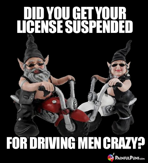 Did you get your license suspended for driving men crazy?