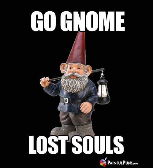 Go Gnome Lost Souls
