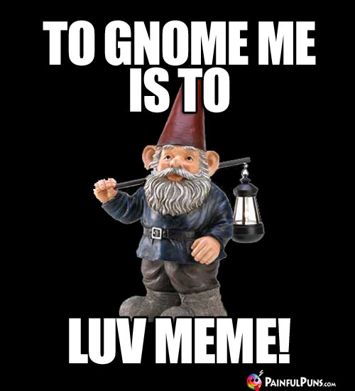 To Gnome Me is to Luv Meme!