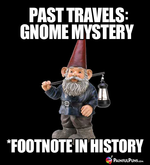 Past Travels: Gnome Mystery. *Footnote in history