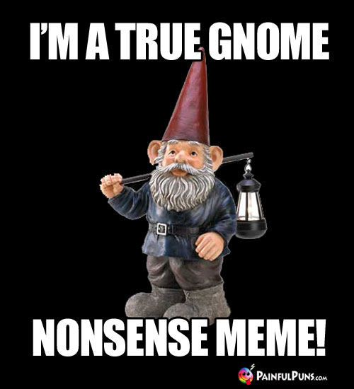 I'm a true gnome nonsense meme