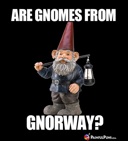 Are Gnomes from Gnorway?