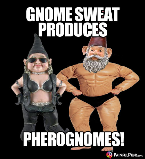 Gym Humor: Gnome Sweat Produces Pherognomes!