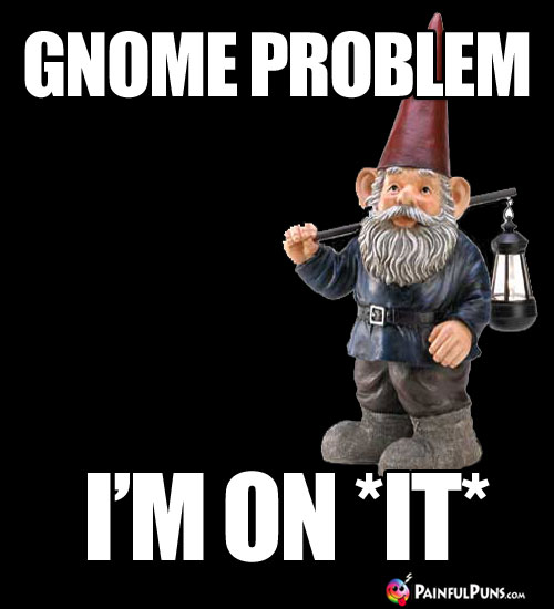 Gnome Problem. I'm on *IT*