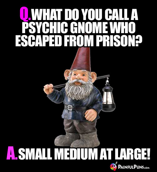 Q. What do you call a psychic gnome who escaped from prison? A. Small Medium at Large
