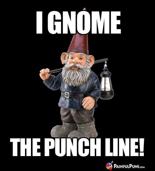 I Gnome the Punch Line!