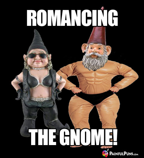 Romancing the Gnome!