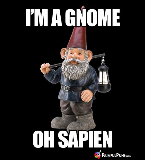 I'm a Gnome Oh Sapien