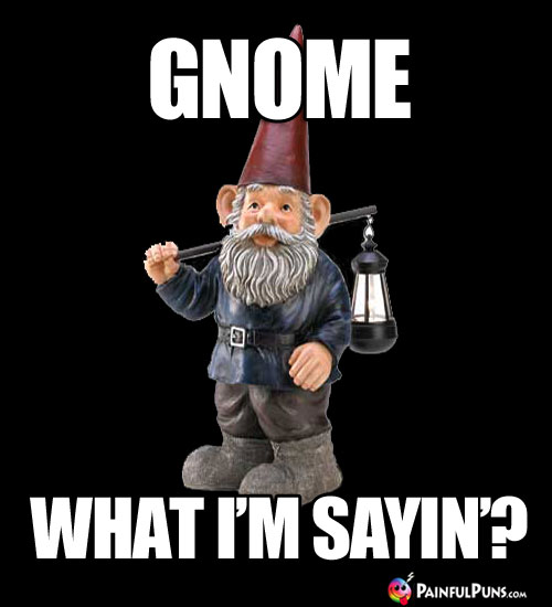 Gnome what I'm sayin'?