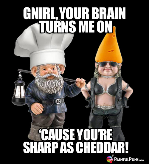 Cheesy Pick-Up Line: Gnirl, your brain turns me on 'cause you're sharp as cheddar!