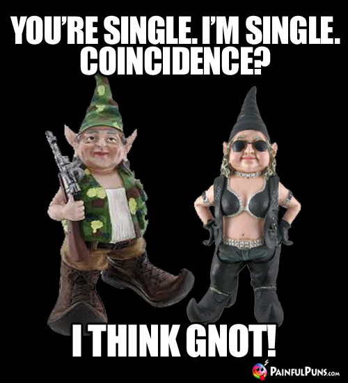 You're single, I'm single. Coincidence? I think gnot!