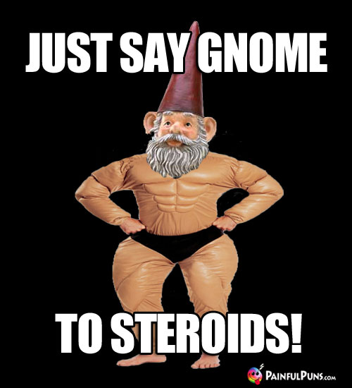 Just Say Gnome to Steroids!
