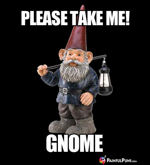 Please Take Me! Gnome