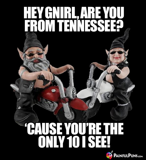 Hey Gnirl, are you from Tennessee? 'Cause you're the only 10 I see!