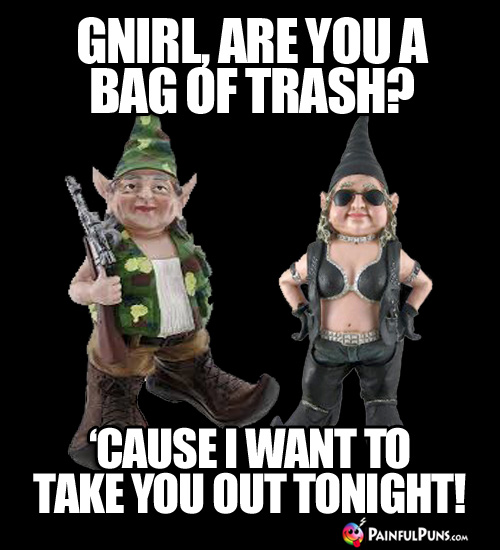 Gnirl, are you a bag of trash? 'Cause I want to take you out tonight!