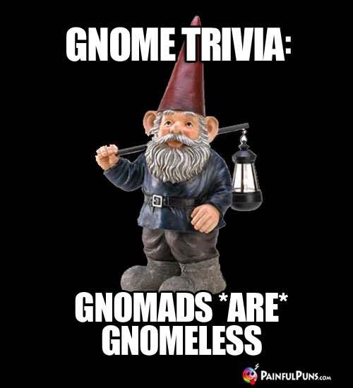 Gnome Trivia: Gnomads ARE Gnomeless