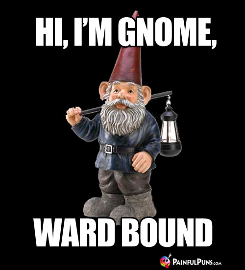Hi, I'm Gnome, Ward Bound
