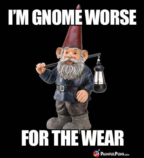 I'm Gnome Worse for the Wear