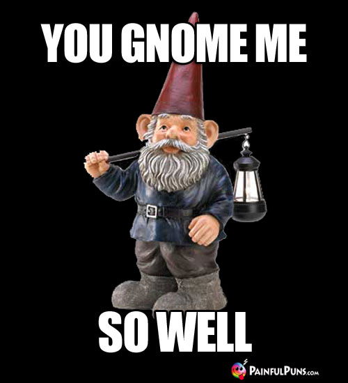 You Gnome Me So Well