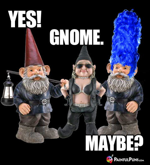 Yes! Gnome. Maybe?