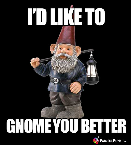 I'd like to gnome you better
