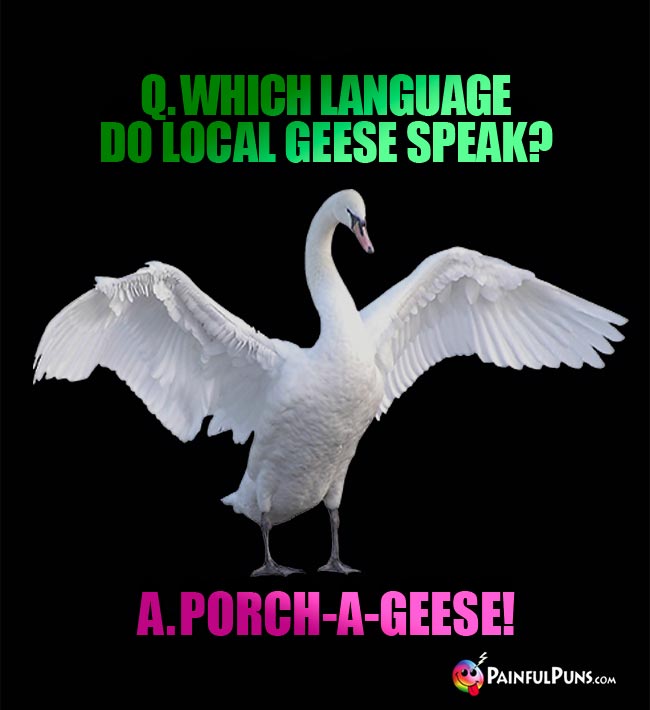 Q. Which language do local geese speak? A. Porch-a-geese!