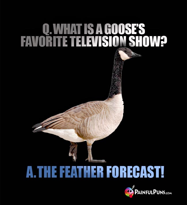 Q. What is a goose's favorite television show? A. The Feather Forecast!