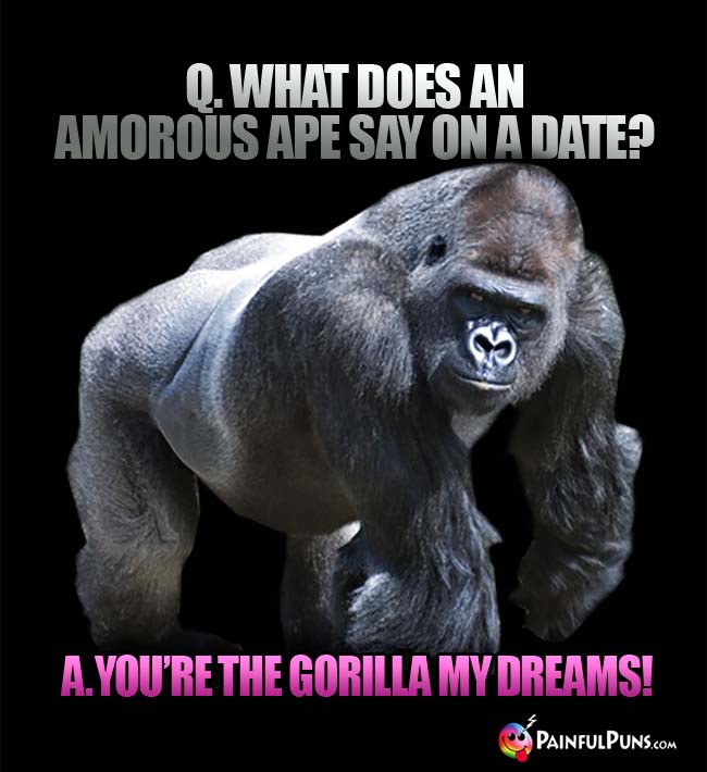 Q. what does an amorous ape say on a date? A. You're the gorilla my dreams!