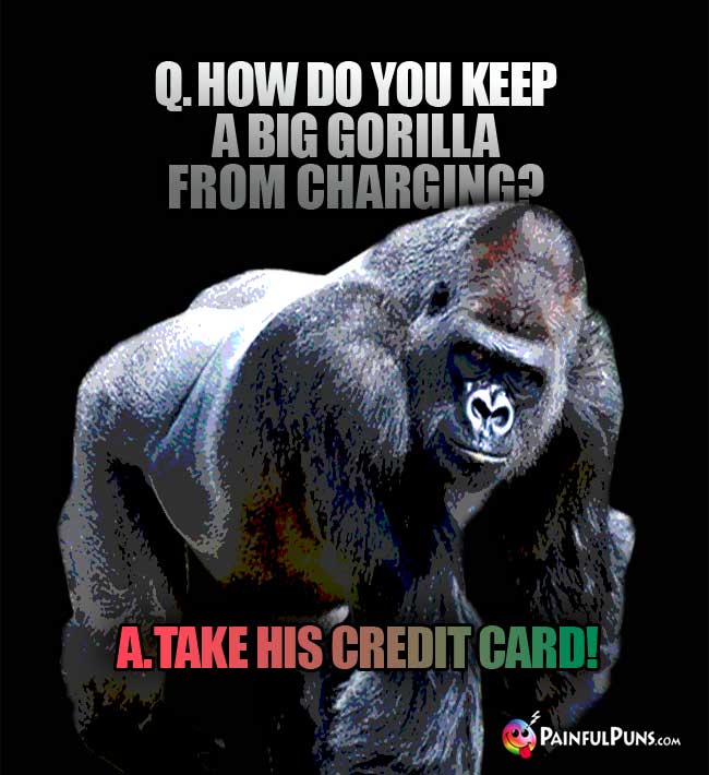 Q. How do yu keep a big gorilla from charging? A. Take his credit card!