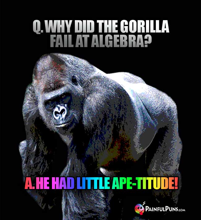 Q. Why did the gorilla fail at algebra? A. He had little ape-titude!