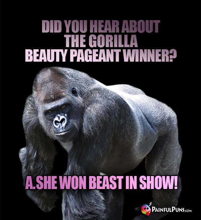 Q. Did you hear about the gorilla beauty pageant winner? A. She won beast in show!