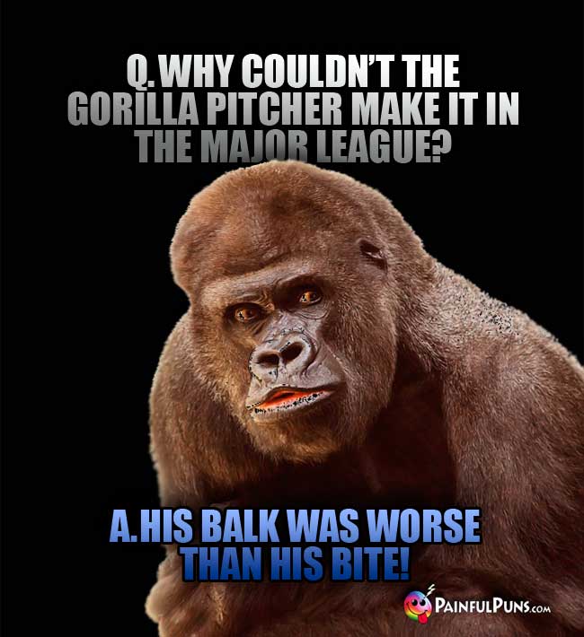 Q. Why couldn't the gorilla pitcher make it in the Major League? A. His balk was worse than his bite!