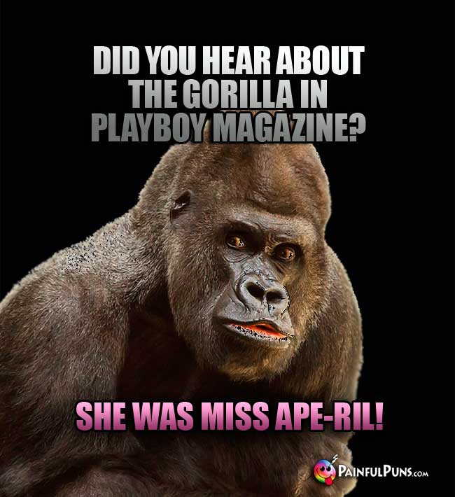 Did you hear about the gorilla in Playboy Magazine? She was Miss Ape-ril!