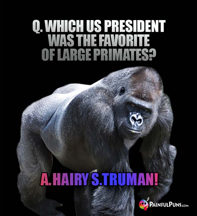Q. Which US President was the favorite of large primates? A. Hairy S. Truman!