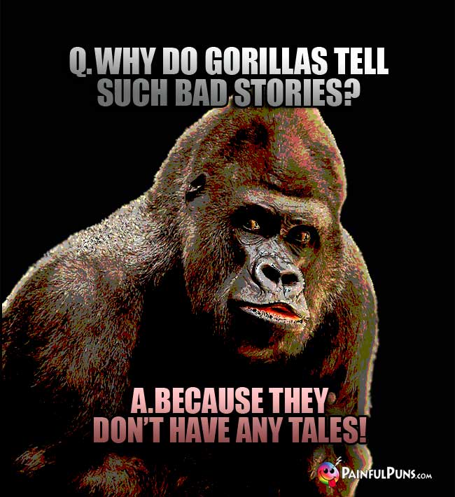 Q. Why do gorillas tell such bad stories? A. Because they don't have any tales!