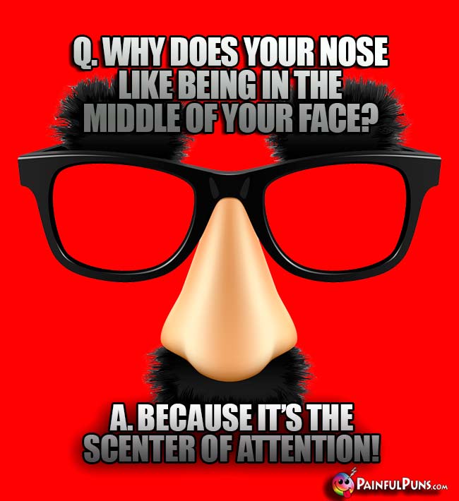 Q. Why does your nose like being in the middle of your face? A. Because it's the scenter of attention!