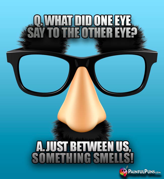 Q. What did one eye say to the other eye? A. Just between us, something smells!