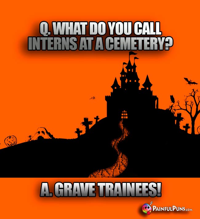 Q. What do you call interns at a cemetery? A. Grave trainees!