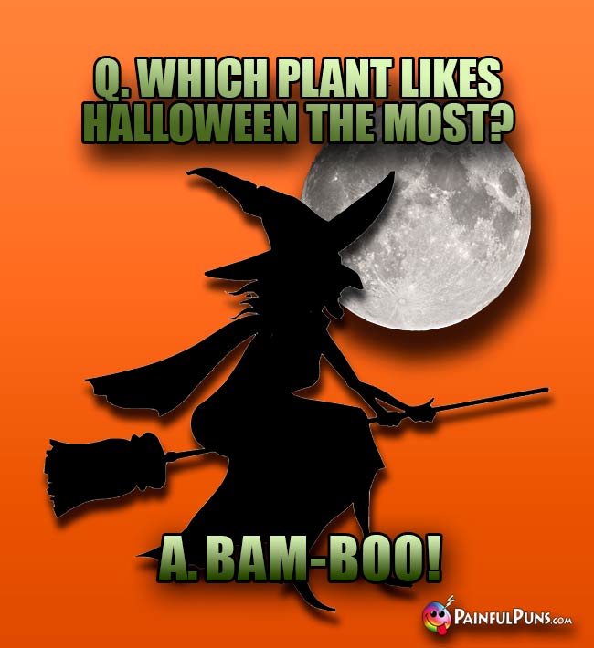 Q. Which plant likes Halloween the most? A. Bam-Boo!