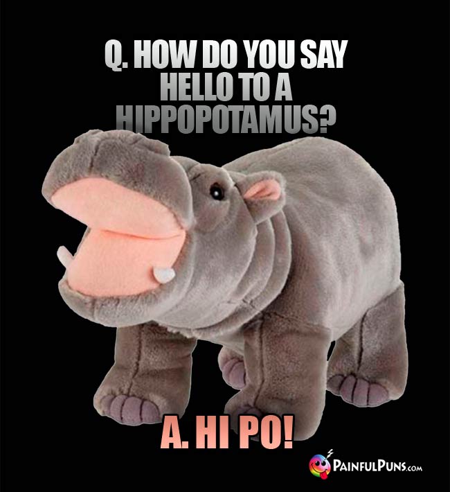 Q. How do you say hello to a hippopotamus? A. Hi Po!