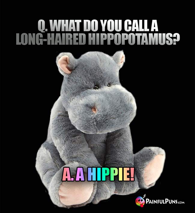 Q. what do you call a long-haired hippopotamus? a. a Hippie!
