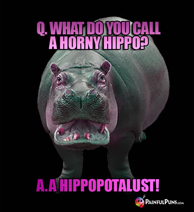 Q. What do you call a horny hippo? a. A hippoputalust!