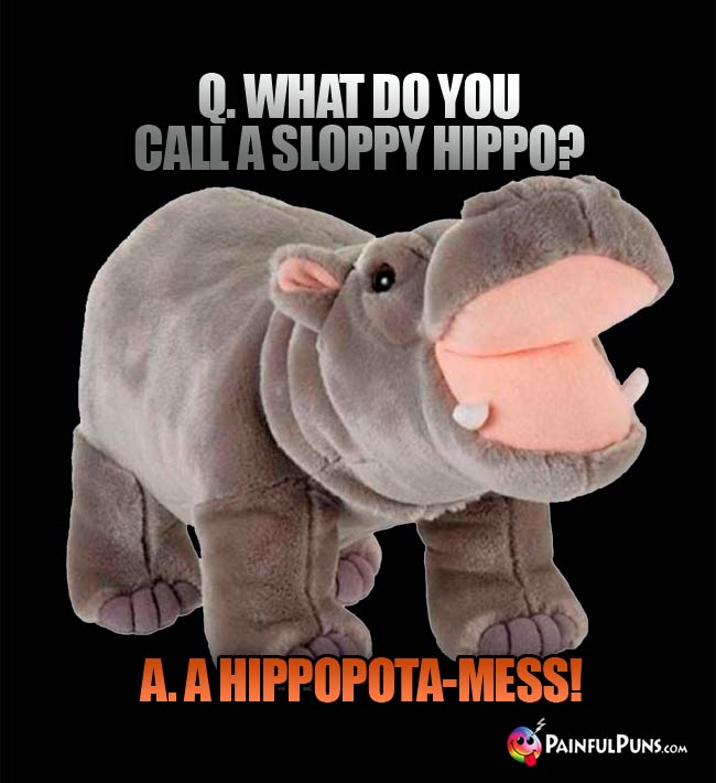 Q. What do you call a sloppy hippo? A. A Hippopota-mess!