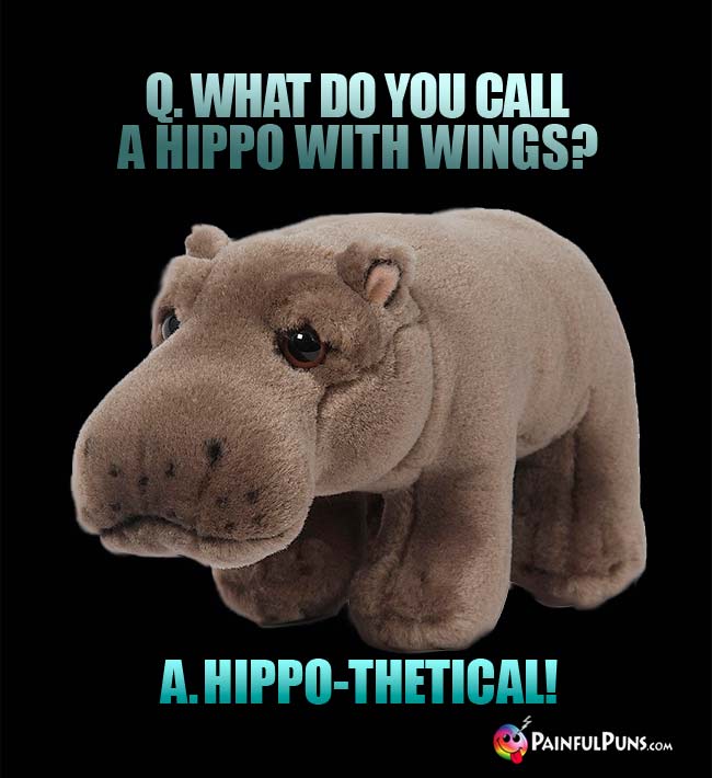 Q. What do you call a hippo with wings? a. Hippo-thetical!